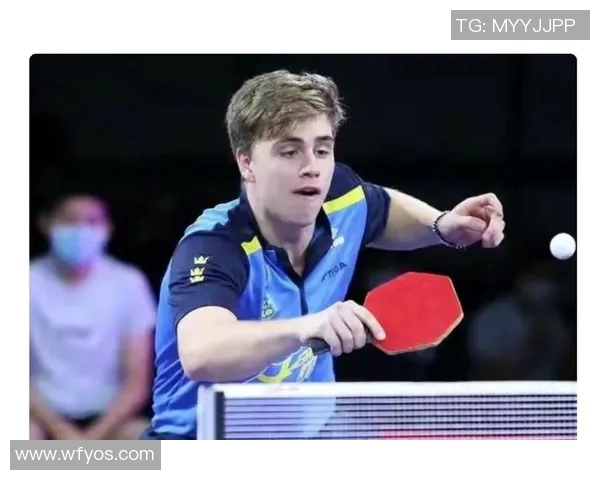 杨娜乒乓球人生的深度对话与启示探索