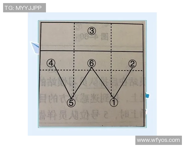 赛后分析：北京排球队与杭州排球队速度对比及战术探讨